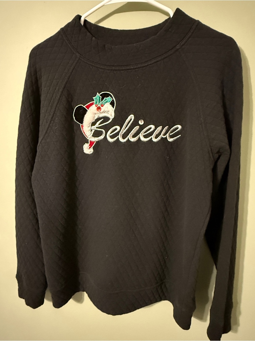 Disney Parks Black Logo Graphic Sweatshirt
